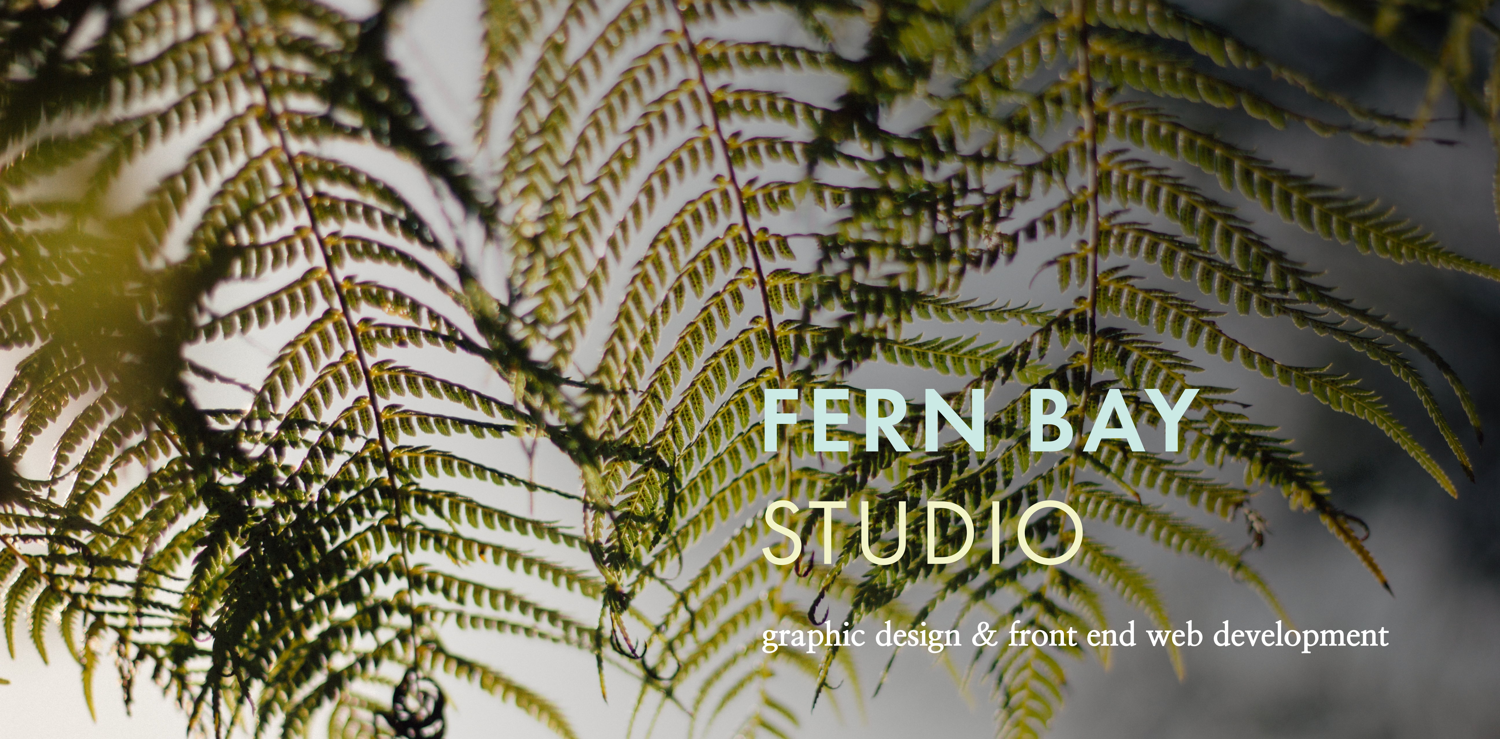 fern bay studio - graphic design & front end web development